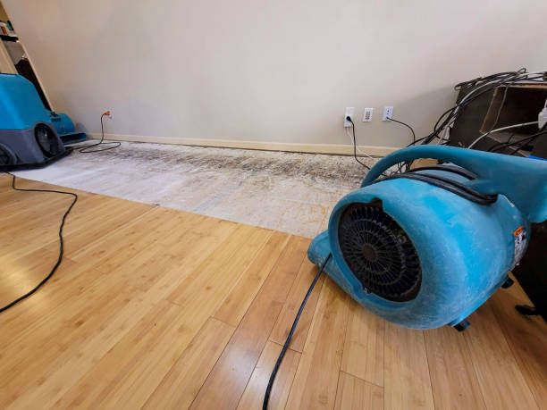 Professional Emergency Water Damage technician working in Empire, NV